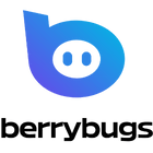 Berrybugs Digital Agency